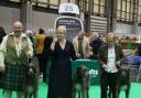 From left: Ivy, Tam and Torrin at Crufts