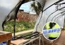 Belhaven Community Garden has been targeted by vandals