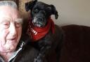 Bob Harvey and his dog Darcie. Image courtesy of Fostering Compassion