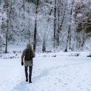 4 winter walks in East Lothian (Canva)
