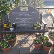 Cockenzie and Port Seton In Bloom is inviting people along to its polytunnel