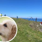Dunbar Coastguard helped rescue a dog from a cliff in Eyemouth. Image: Eyemouth Coastguard Facebook