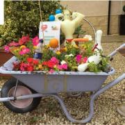 Blooming Haddington's annual wheelbarrow display is now out in full force
