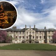 The tree will be located in the grounds of Newhailes House