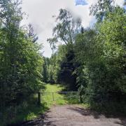 Bolton Muir Woods is the proposed home for a new furniture workshop near Gifford. Image: Google Maps