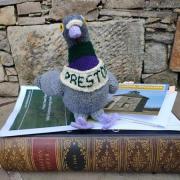 Preston the knitted pigeon has caused some controversy in Prestonpans