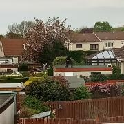 An armed police officer was seen on rooftops in Longniddry yesterday.