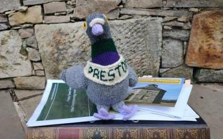 Preston the knitted pigeon has caused some controversy in Prestonpans