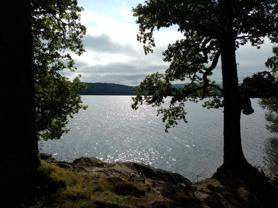 Loch Venachar from the weeping wood.
