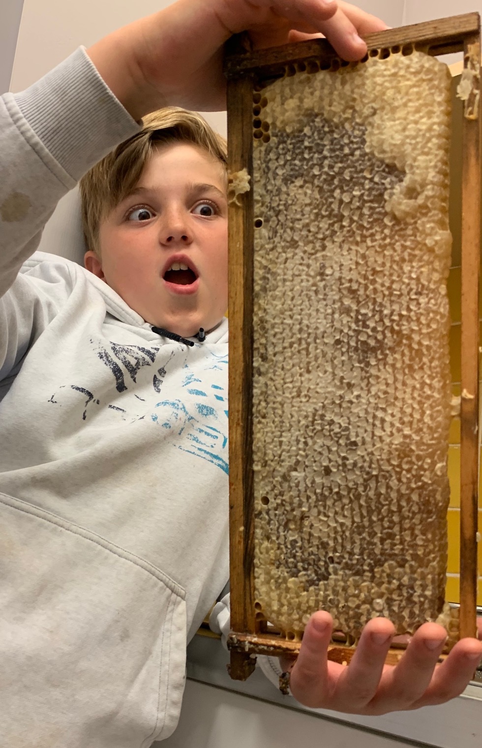 Elliot and his bees