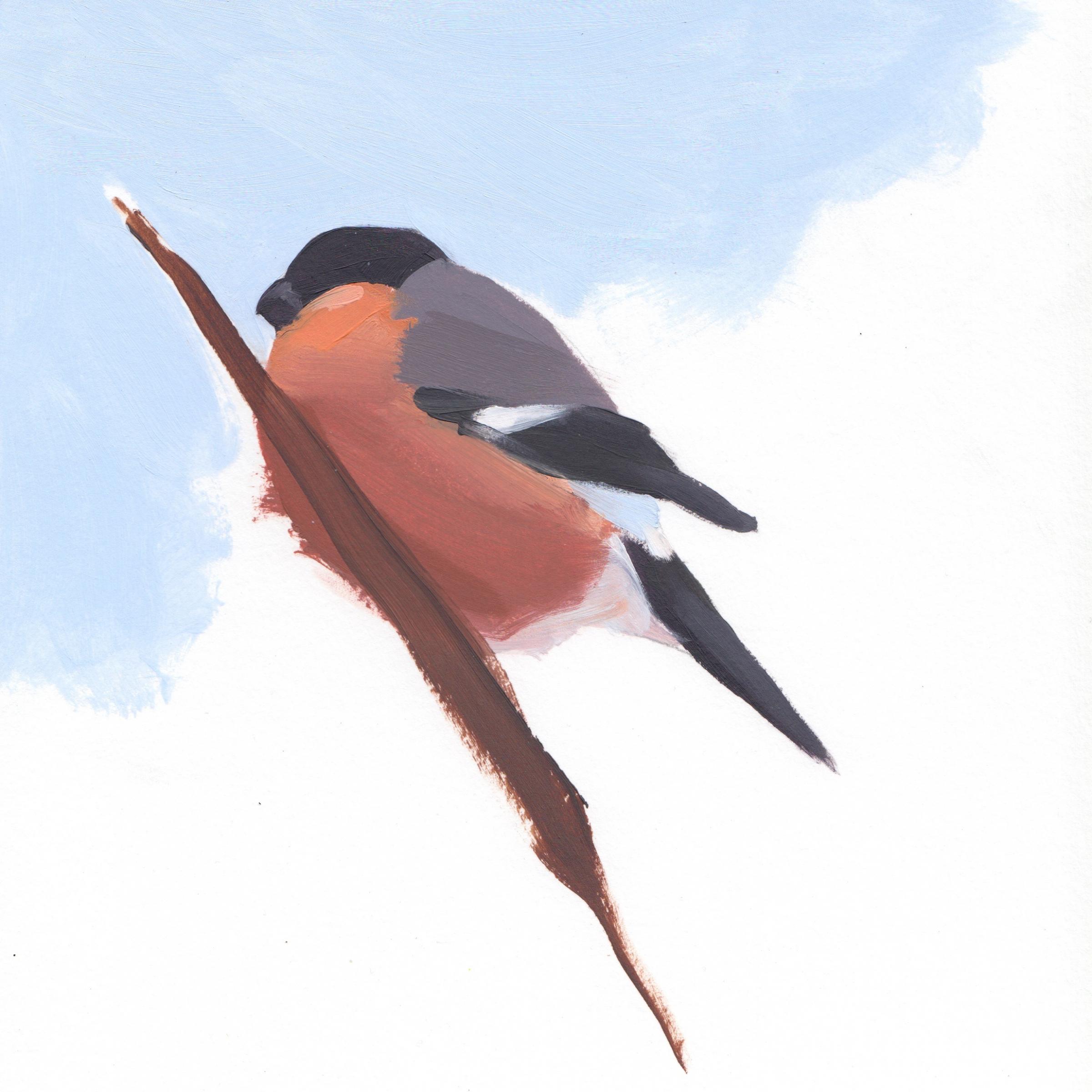 Bird centre in Aberlady reopens with new art exhibition - Vimarsana News