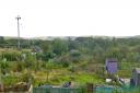Allotments near West Barns. Image copyright Robin Webster and licensed for reuse under Creative Commons Licence