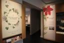 Royal College of Physicians plant exhibition