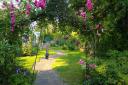 A rose covered archway in the garden of Eskhill Lodge