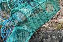 Creels have been stolen from Dunbar Harbour