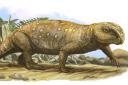 Researchers studied rhynchosaur specimens found in Devon (Mark Witton/University of Bristol/PA)
