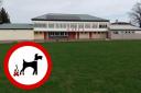 Haddington Rugby Club expressed frustration at dog mess being left on the club pitch