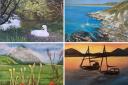 Musselburgh Art Club's exhibition is now open