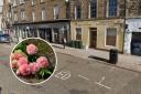 A florist looks set to open its doors in the former Magpie and Crow. Main image: Google Maps