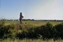 Community enterprise thespace are set to unveil plans for a new site next to the DunBear statue off the A1 in East Lothian. Image: Google Maps