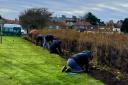 Volunteers have been busy in Dunbar's Winterfield Park