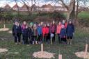 Members of Belhaven Guides have been busy planting trees in Dunbar