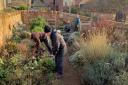 Ridge volunteers get stuck in to planting at the charity's Sensory Garden to guard against drought in future years, thanks to a grant from NatureScot