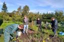 Volunteers at work at Amisfield Walled Garden, near Haddington. Image courtesy Amisfield Preservation Trust