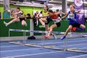 Branna Kenny reached the final of the 60m hurdles. Image: Bobby Gavin