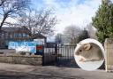 There is a rodent problem at Campie Primary School in Musselburgh. Main iamge: Image copyright Richard Webb and licensed for reuse under Creative Commons Licence