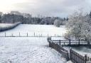Snowy conditions near Bideford (@rose_rose1909/X)
