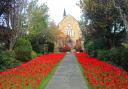 The display of poppies at St Andrew's High Church in Musselburgh. Photp: Angus Bathgate