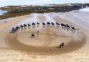 Members of the Household Cavalry, Blues and Royals, exercise their horses along the sands and in the sea at Yellowcraig Beach near North Berwick, East Lothian, after taking part earlier in the week at the Service of Thanksgiving for King Charles III in