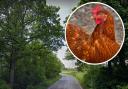 The chicken underpass would run under the B6368 at Howden Farm. Main image: Google Maps