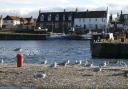 Port Seton Harbour. Image copyright Mike Pennington and licensed for reuse under Creative Commons Licence