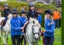 Free pony rides at Musselburgh Racecourse