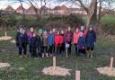 Members of Belhaven Guides have been busy planting trees in Dunbar