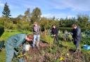 Volunteers at work at Amisfield Walled Garden, near Haddington. Image courtesy Amisfield Preservation Trust
