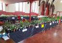 Musselburgh's annual plant sale is a popular event in the town's calendar