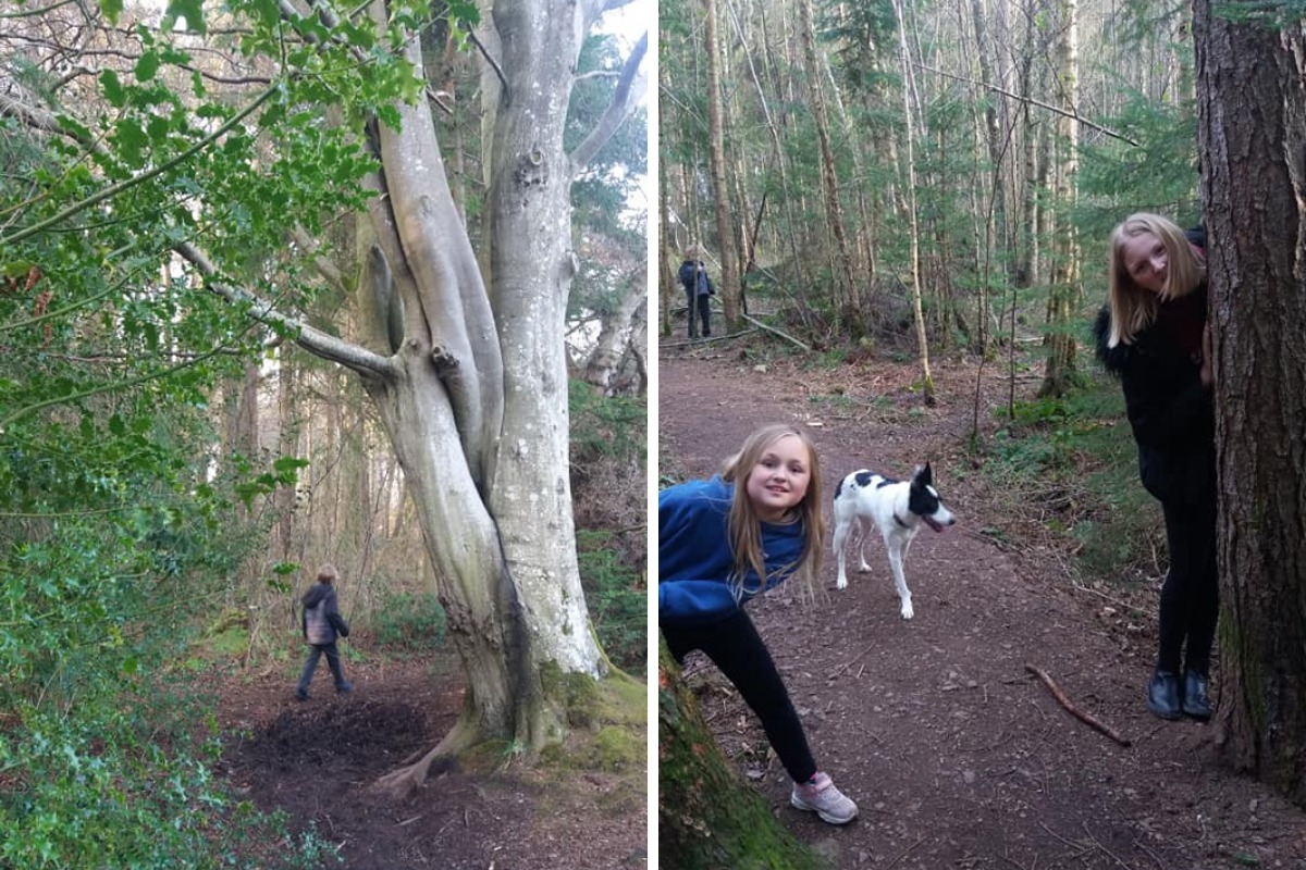 Tim's Tales: Why I'm a proud 'tree hugger' - Vimarsana News