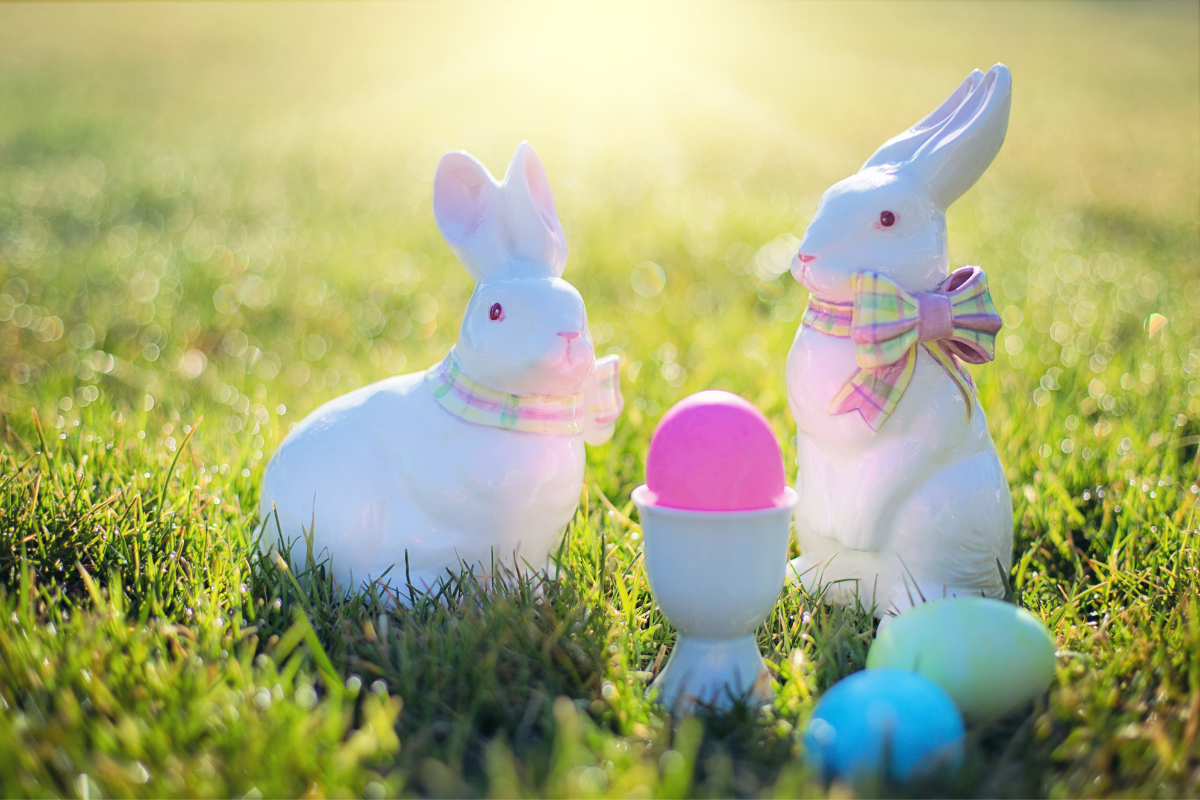 Easter activities near me: National Trust events including Easter egg hunts in East Lothian - Vimarsana News