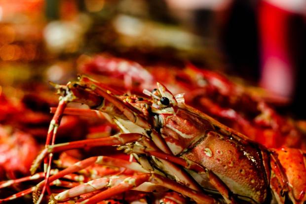 Lobsters stock photo from Pixabay