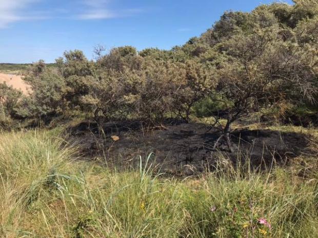 East Lothian Courier: Firefighters were called out on Monday afternoon after reports of a fire at a sand dune at Gullane Bents. Picture: East Lothian Council Countryside Rangers