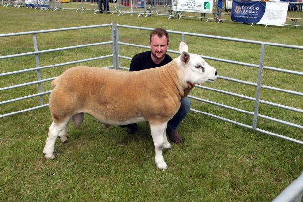 East Lothian Courier: haddington show 29/6/19 champion sheep TEXEL craig connell.