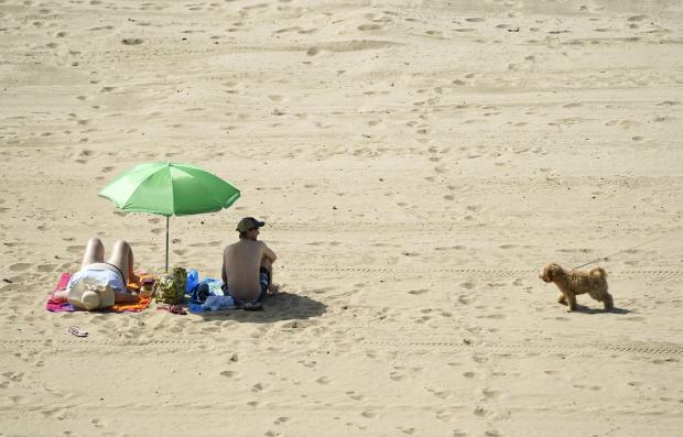 East Lothian Courier: Surfaces such as sand can absorb a lot of heat on sunny days and burn pet’s paws. Picture: PA