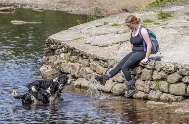East Lothian Courier: Gulping down too much water can be dangerous - keep an eye on dogs if playing water and move on when they’ve had their fill. Picture: PA