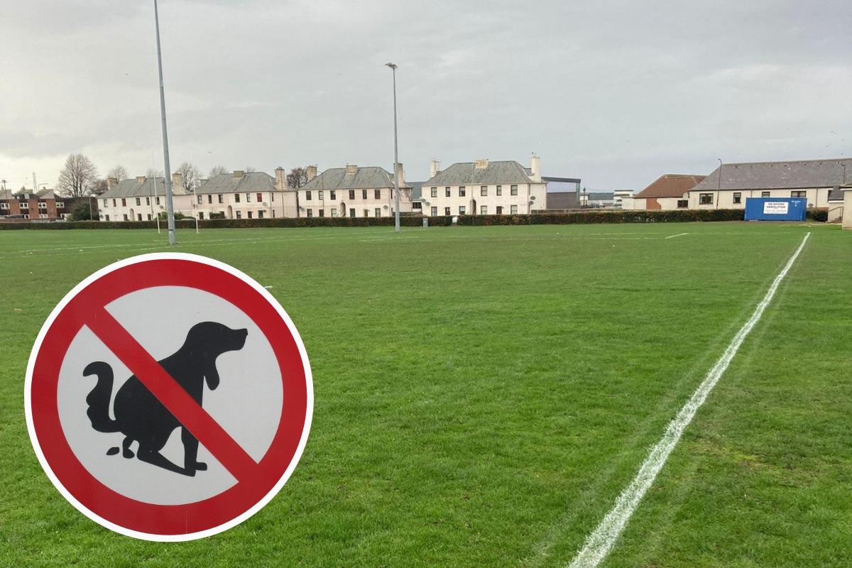Tranent: coaches 'disgusted' as dog poo litters playing fields - Vimarsana News