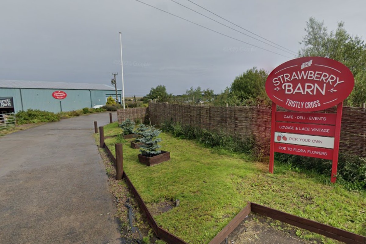 Strawberry Barn announces 'devastating' decision to close - Vimarsana News