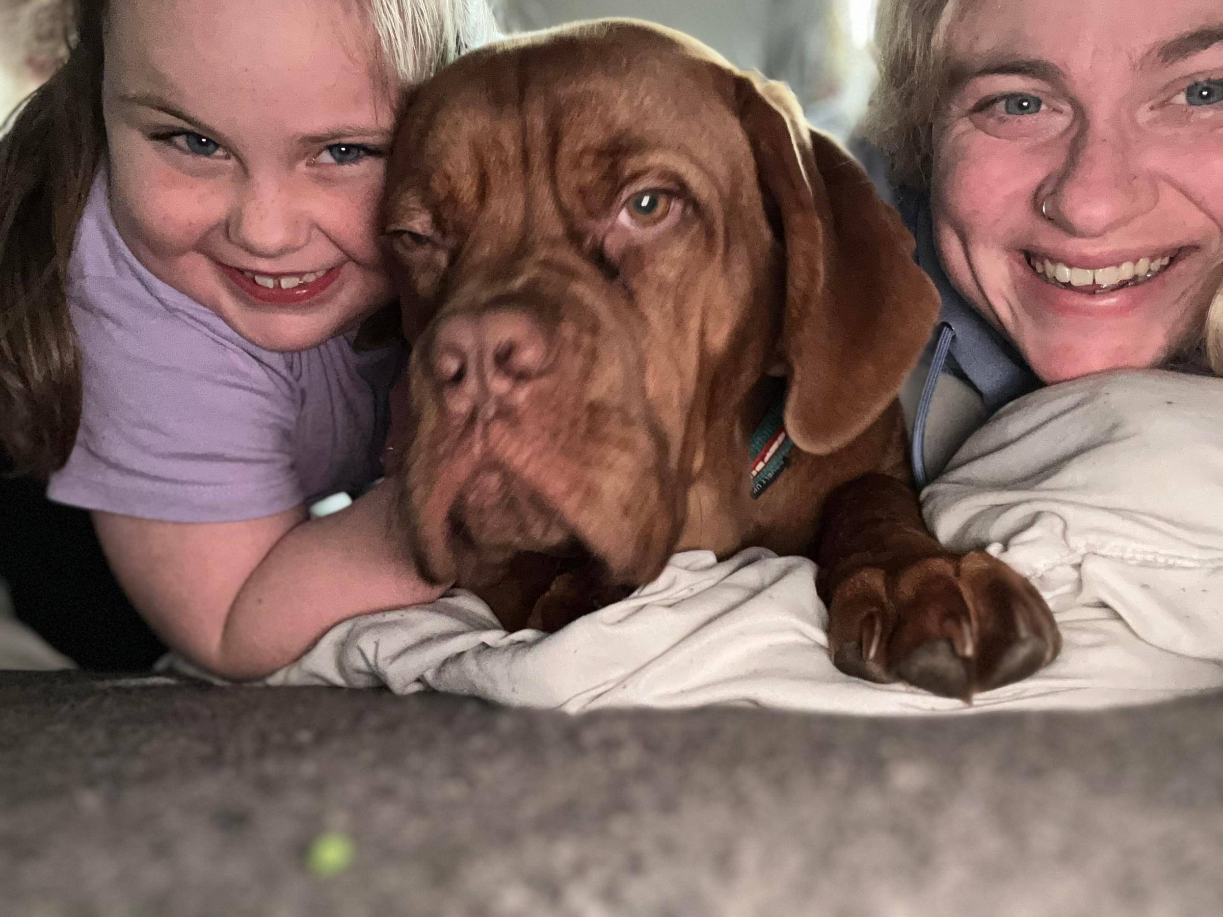 Musselburgh mum will 'do anything' to fund dog Rocky's £3k operation - Vimarsana News