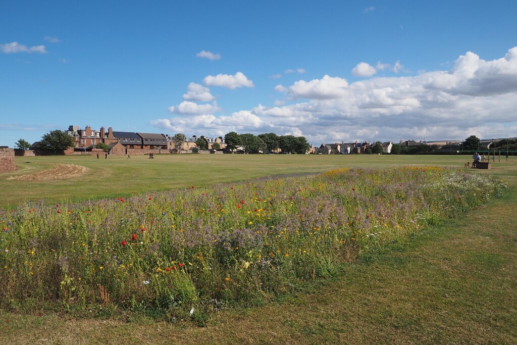 Winterfield Park in Dunbar. Image: Copyright Jennifer Petrie and licensed for reuse under this Creative Commons Licence.